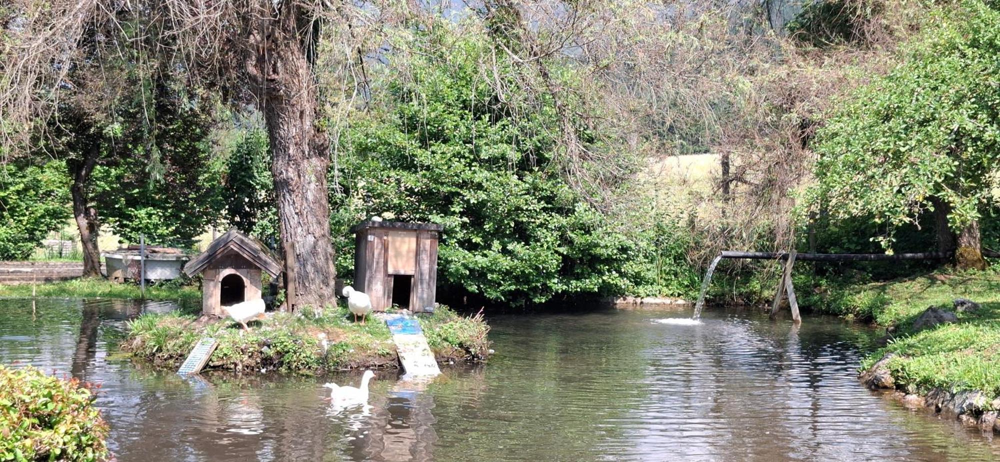 Ferienwohnungen Schloss Wasserleonburg Nötsch Εξωτερικό φωτογραφία