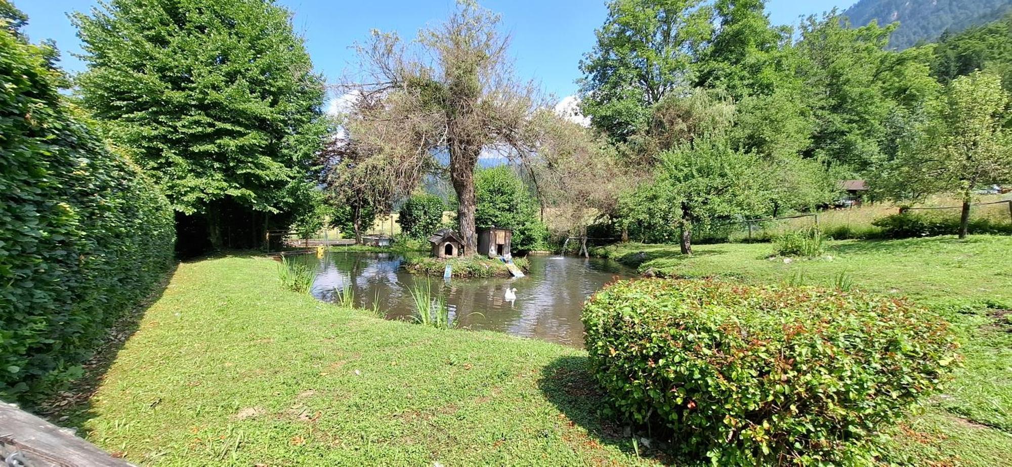 Ferienwohnungen Schloss Wasserleonburg Nötsch Εξωτερικό φωτογραφία